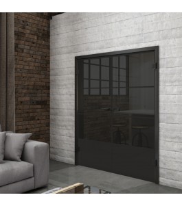 Ganzglastür Loft Schwarzlack 32 Auf Grauglas