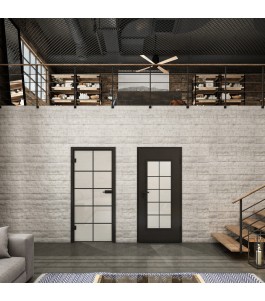 Ganzglastür Loft Schwarzlack 05 Blickdicht-modernes Zuhause