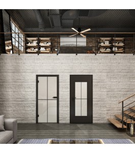 Ganzglastür Loft Schwarzlack 08 Blickdicht-modernes Zuhause