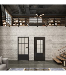 Ganzglastür Loft Schwarzlack 38 Blickdicht-modernes Zuhause