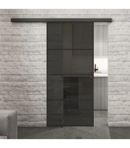 Glasschiebetür BLACK-LINE Loft Schwarzlack 02 Auf Grauglas