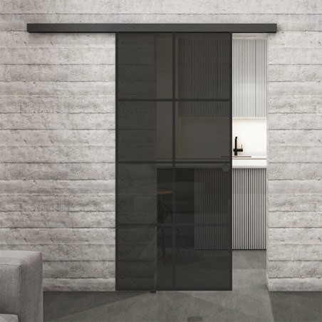 Glasschiebetür BLACK-LINE Loft Schwarzlack 06 Auf Grauglas