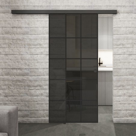 Glasschiebetür BLACK-LINE Loft Schwarzlack 09 Auf Grauglas