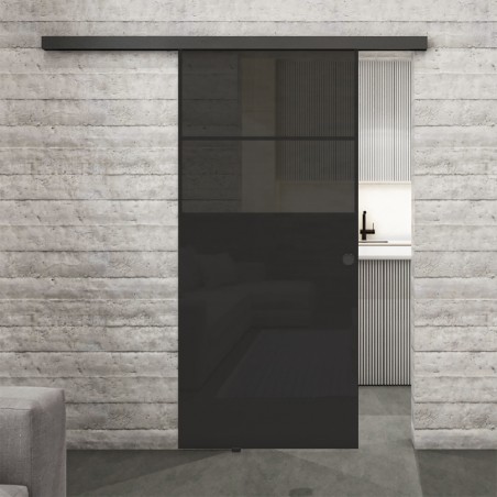 Glasschiebetür BLACK-LINE Loft Schwarzlack 22 Auf Grauglas