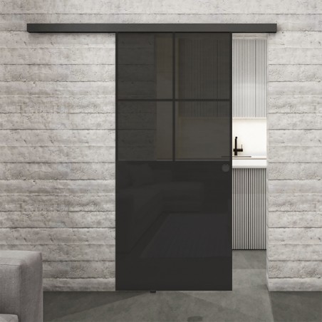 Glasschiebetür BLACK-LINE Loft Schwarzlack 24 Auf Grauglas