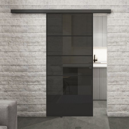 Glasschiebetür BLACK-LINE Loft Schwarzlack 31 Auf Grauglas