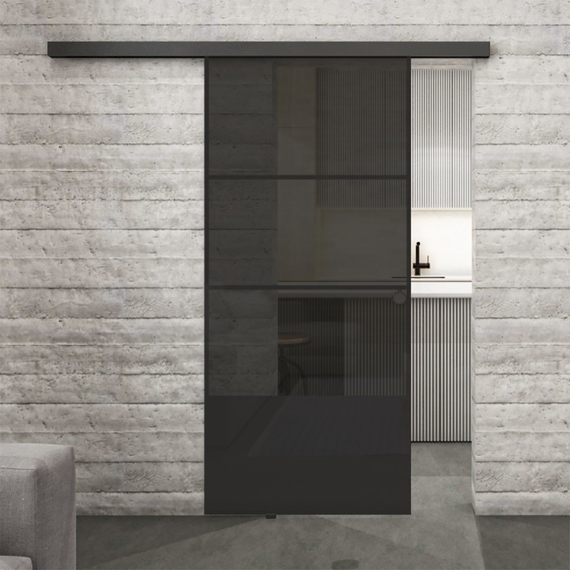 Glasschiebetür BLACK-LINE Loft Schwarzlack 32 Auf Grauglas