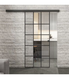Glasschiebetür BLACK-LINE Loft Schwarzlack 09 Auf Klarglas