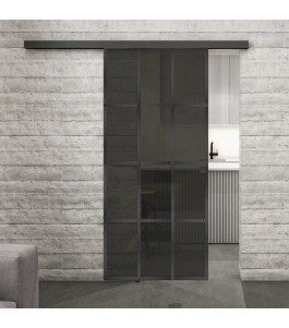 Glasschiebetür BLACK-LINE Loft Schwarzeisen Genietet 10 Auf Grauglas
