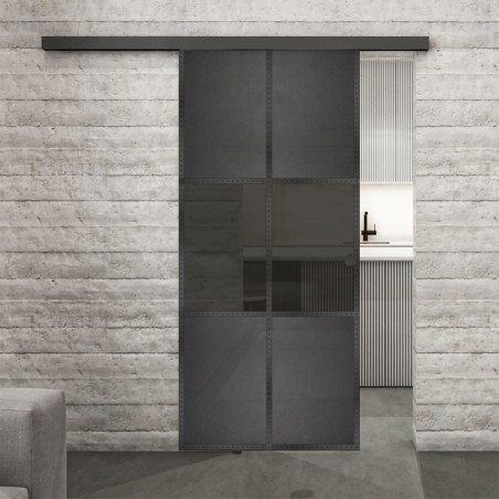 Glasschiebetür BLACK-LINE Loft Schwarzeisen Genietet 30 Auf Grauglas