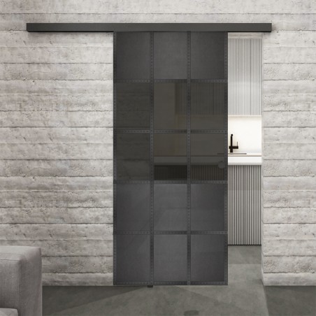 Glasschiebetür BLACK-LINE Loft Schwarzeisen Genietet 31 Auf Grauglas