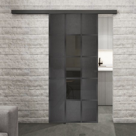 Glasschiebetür BLACK-LINE Loft Schwarzeisen Genietet 34 Auf Grauglas