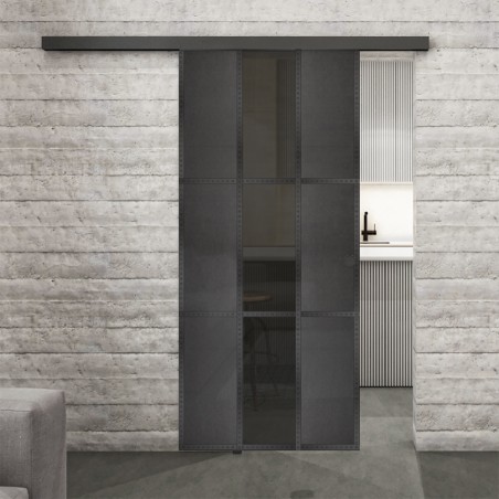 Glasschiebetür BLACK-LINE Loft Schwarzeisen Genietet 36 Auf Grauglas