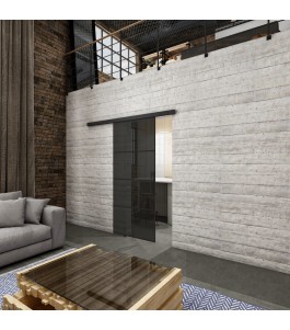 Glasschiebetür BLACK-LINE Loft Schwarzlack 06 Auf Grauglas