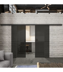 Glasschiebetür BLACK-LINE Loft Schwarzlack 04 Auf Grauglas