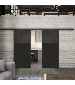 Glasschiebetür BLACK-LINE Loft Schwarzlack 25 Auf Grauglas