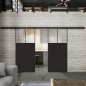 Glasschiebetür BLACK-LINE Loft Schwarzlack 25 Auf Klarglas