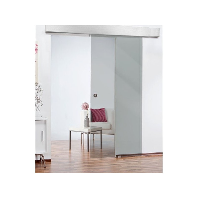 Glasschiebetür ECO-LINE PARSOL GRAU
