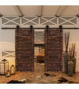 Glasschiebetür BARN-LINE - Country Altholz Astig Model 10