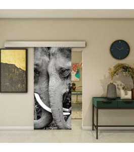 Glasschiebetür ECO-LINE - Fotoprint Model 222