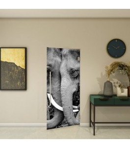 Pendeltür - Fotoprint Model 222 für ein modernes Zuhause
