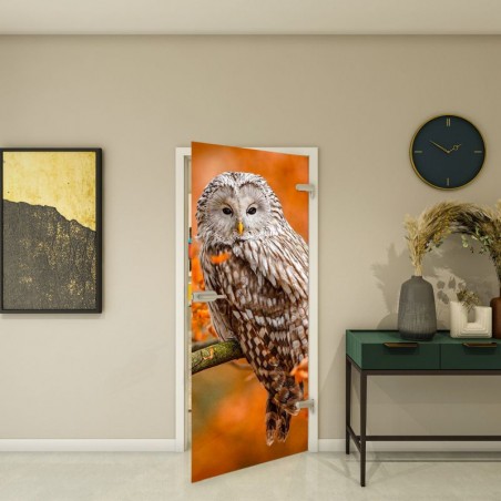 Ganzglastür - Fotoprint Model 238 für ein modernes Zuhause