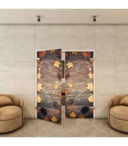Ganzglastür - Fotoprint Model 62 für ein modernes Zuhause
