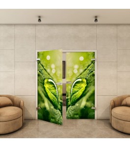 Ganzglastür - Fotoprint Model 158 für ein modernes Zuhause