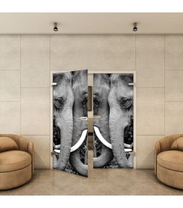 Ganzglastür - Fotoprint Model 222 für ein modernes Zuhause