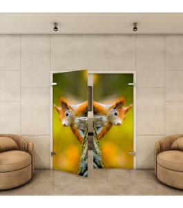 Ganzglastür - Fotoprint Model 237 für ein modernes Zuhause