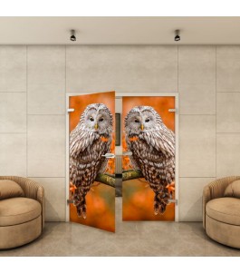 Ganzglastür - Fotoprint Model 238 für ein modernes Zuhause