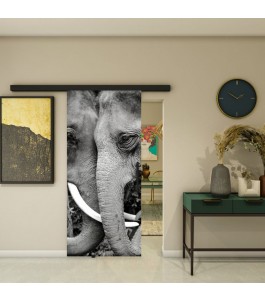 Glasschiebetür BLACK-LINE - Fotoprint Model 222