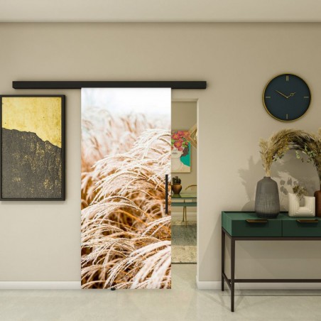 Glasschiebetür BLACK-LINE - Fotoprint Model 277