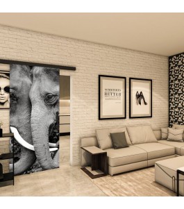 Glasschiebetür BLACK-LINE - Fotoprint Model 222
