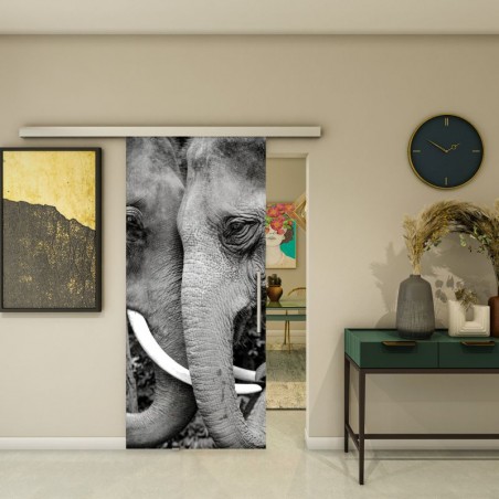 Glasschiebetür SLIM-LINE - Fotoprint Model 222