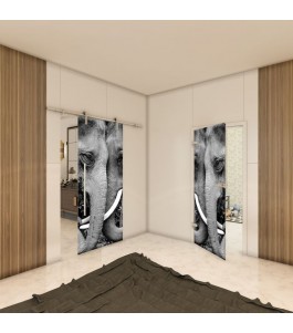 Ganzglastür - Fotoprint Model 222 für ein modernes Zuhause