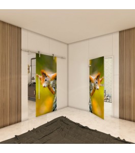 Ganzglastür - Fotoprint Model 237 für ein modernes Zuhause
