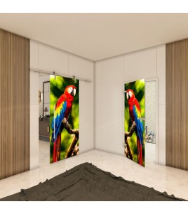 Ganzglastür - Fotoprint Model 248 für ein modernes Zuhause