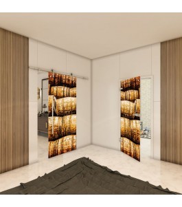 Ganzglastür - Fotoprint Model 255 für ein modernes Zuhause