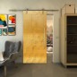 Glasschiebetür PIPE-LINE - Fineprint Modell 029 Gold auf Klarglas