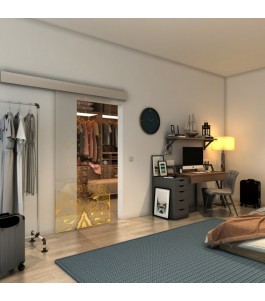 Glasschiebetür ECO-LINE - Fineprint Model 155 Gold auf Klarglas