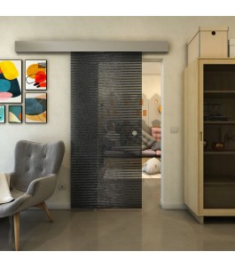 Glasschiebetür ECO-LINE - Fineprint Model 022 Schwarz auf Grauglas
