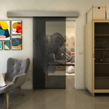 Glasschiebetür ECO-LINE - Fineprint Model 098 Schwarz auf Grauglas
