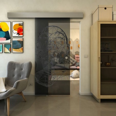 Glasschiebetür ECO-LINE - Fineprint Model 103 Schwarz auf Grauglas